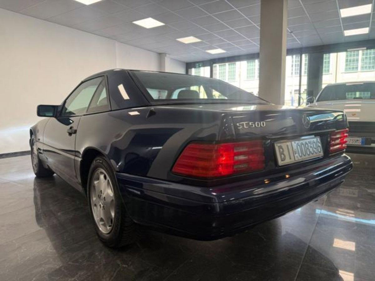 Mercedes-Benz SL 500 cat (5)