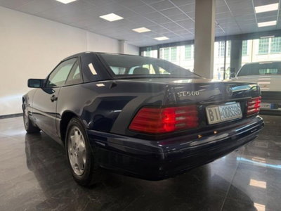 Mercedes-Benz SL 500 cat (5)