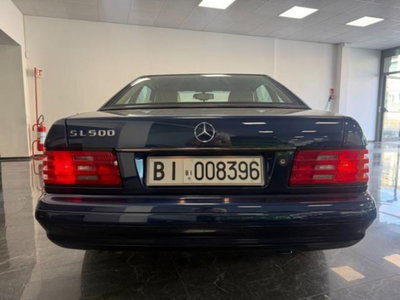 Mercedes-Benz SL 500 cat (6)