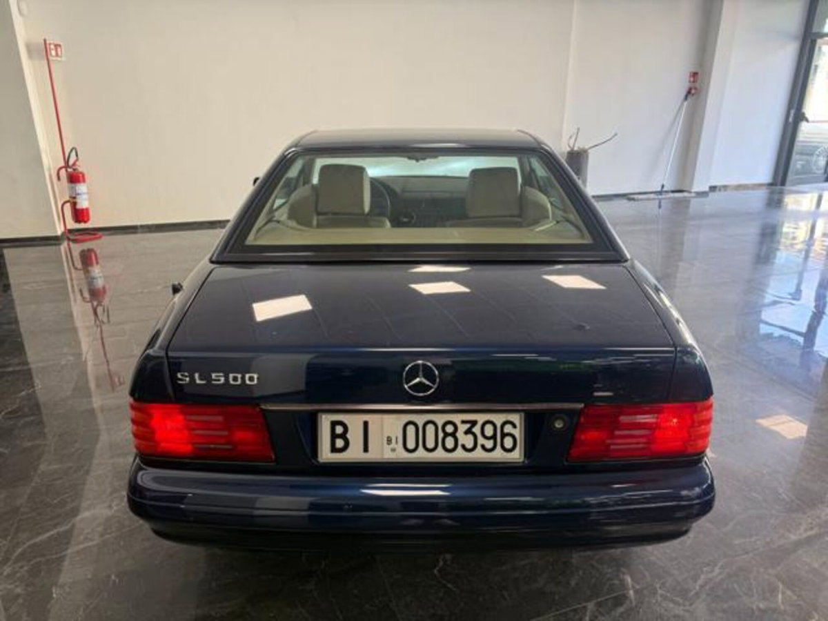 Mercedes-Benz SL 500 cat (7)