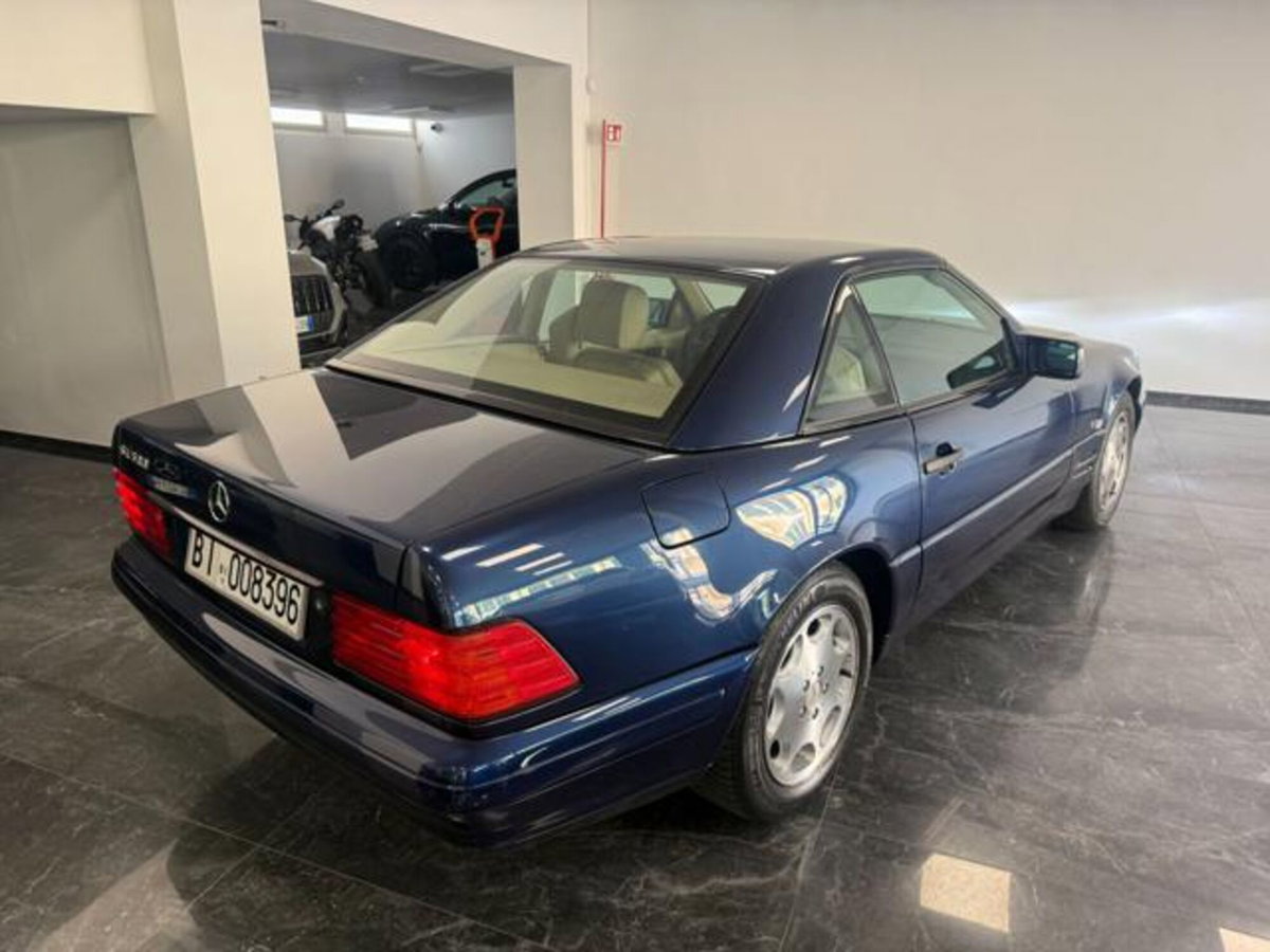 Mercedes-Benz SL 500 cat (8)