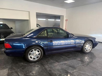 Mercedes-Benz SL 500 cat (9)