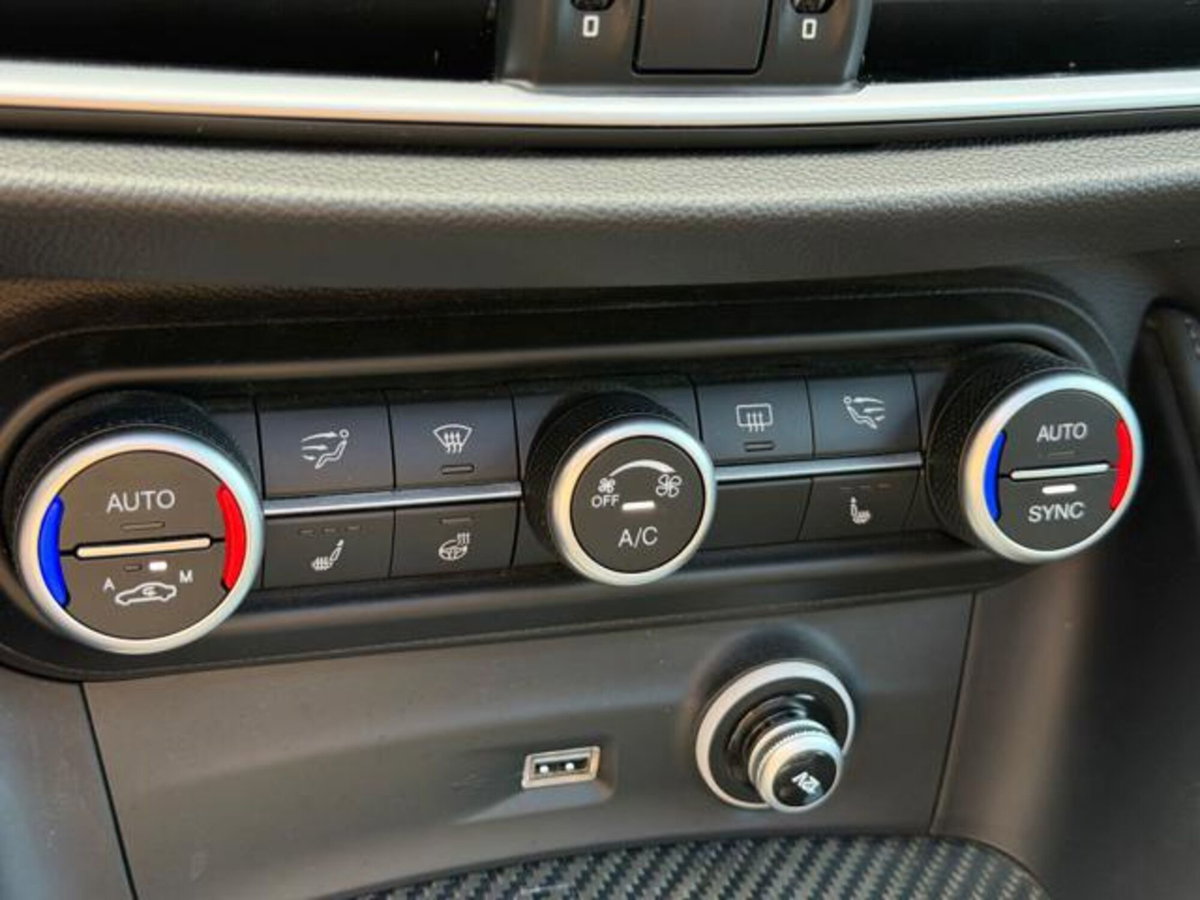 Alfa Romeo Stelvio Stelvio 2.9 Bi-Turbo V6 510 CV AT8 Quadrifoglio (17)
