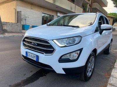 Ford EcoSport 1.0 EcoBoost 125 CV Start&Stop Business usata