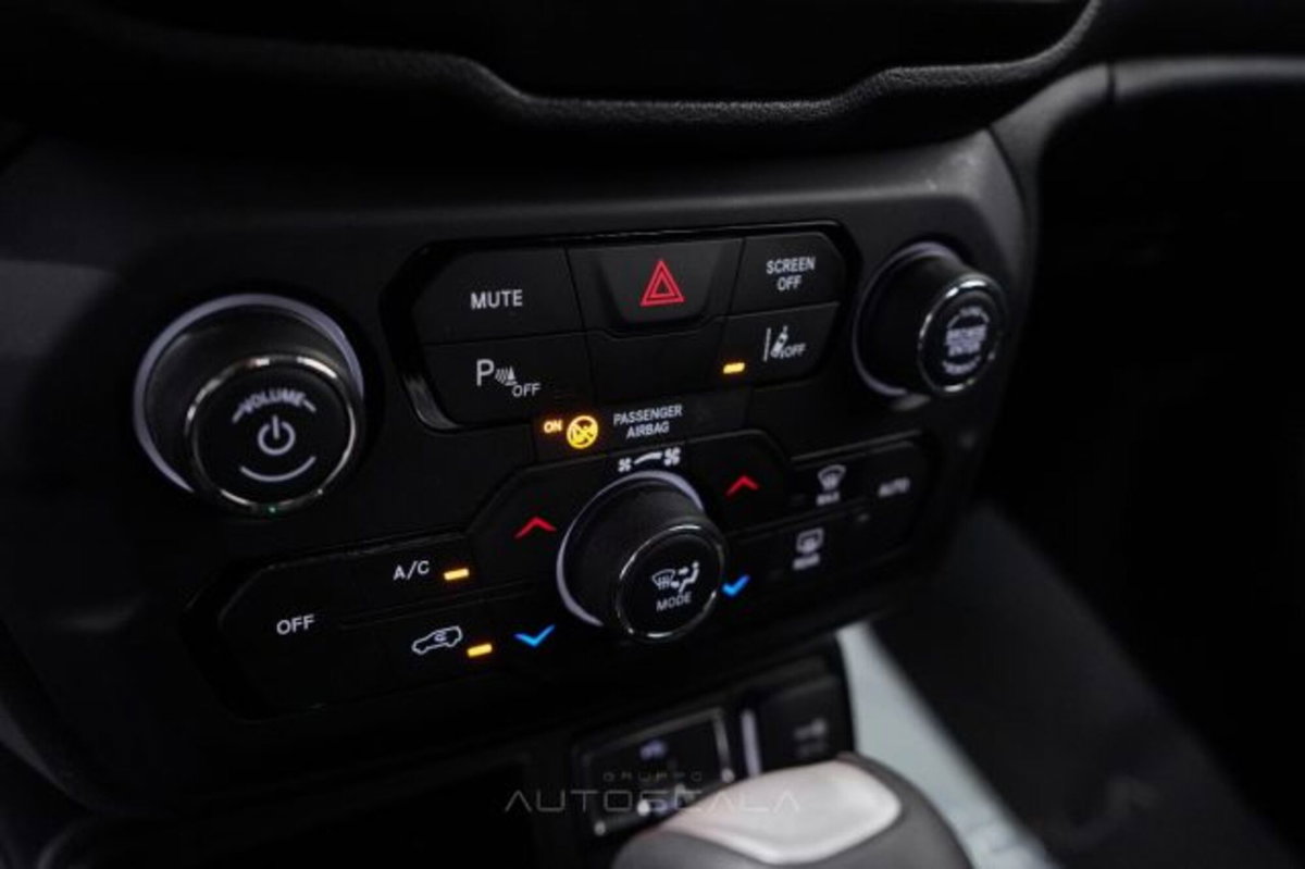 Jeep Renegade 1.6 Mjt DDCT 120 CV Business (17)