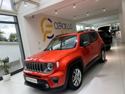 Jeep Renegade 1.6 Mjt 120 CV Limited (8)