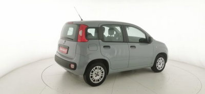 Fiat Panda 1.2 Easy (18)