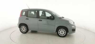 Fiat Panda 1.2 Easy (20)