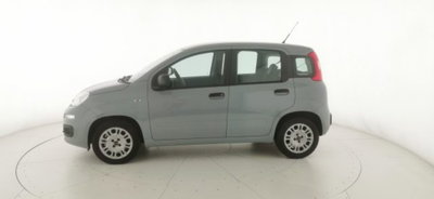 Fiat Panda 1.2 Easy (4)