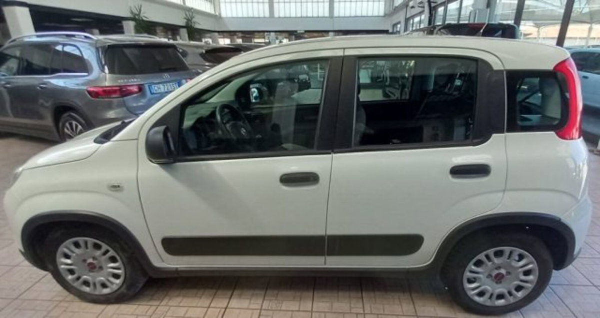 Fiat Panda van 1.0 hybrid Street 70cv 4p.ti serie 4 E6d (2)