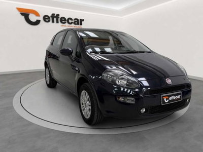 Fiat Punto 1.4 8V 5 porte Natural Power Lounge (3)
