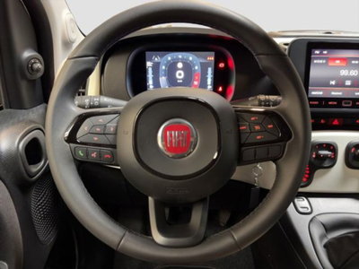 Fiat Panda 1.0 firefly hybrid s&s 70cv 5p.ti (10)
