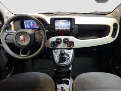 Fiat Panda 1.0 firefly hybrid s&s 70cv 5p.ti (12)