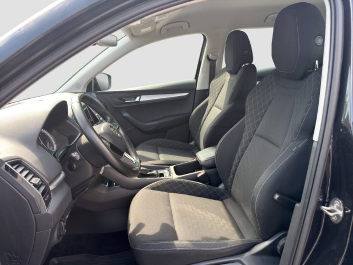Skoda Karoq 1.5 tsi Executive dsg (10)