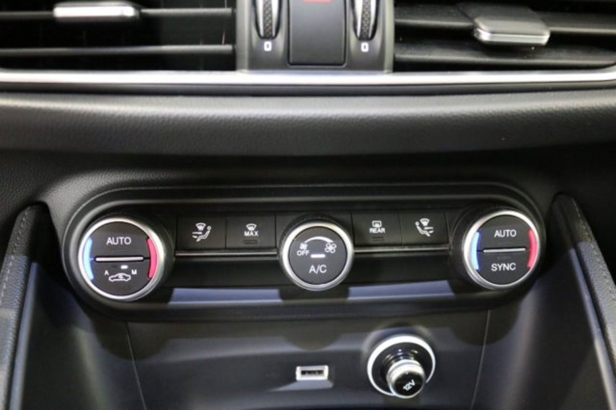 Alfa Romeo Stelvio Stelvio 2.2 Turbodiesel 190 CV AT8 Q4 Super Business (20)