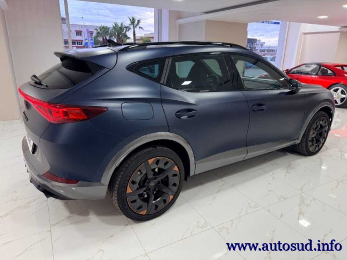 Cupra Formentor Formentor 2.0 TSI 4Drive DSG VZ Launch Edition (6)