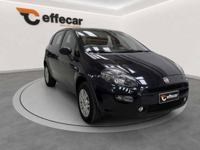 Fiat Punto 1.4 8V 5 porte Natural Power Lounge (3)