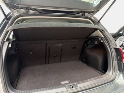 Volkswagen Golf 1.6 TDI 115CV DSG 5p. Business BlueMotion Technology (14)