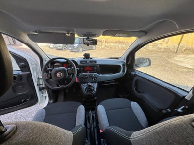 Fiat Panda van 1.0 hybrid Pop 70cv 2p.ti serie 3 E6d (10)