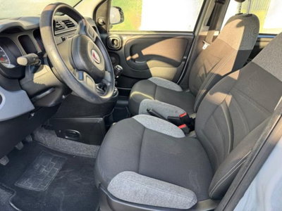 Fiat Panda 1.0 firefly hybrid s&s 70cv 5p.ti (8)