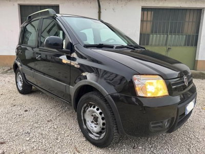 Fiat Panda 1.2 Dynamic Natural Power (3)