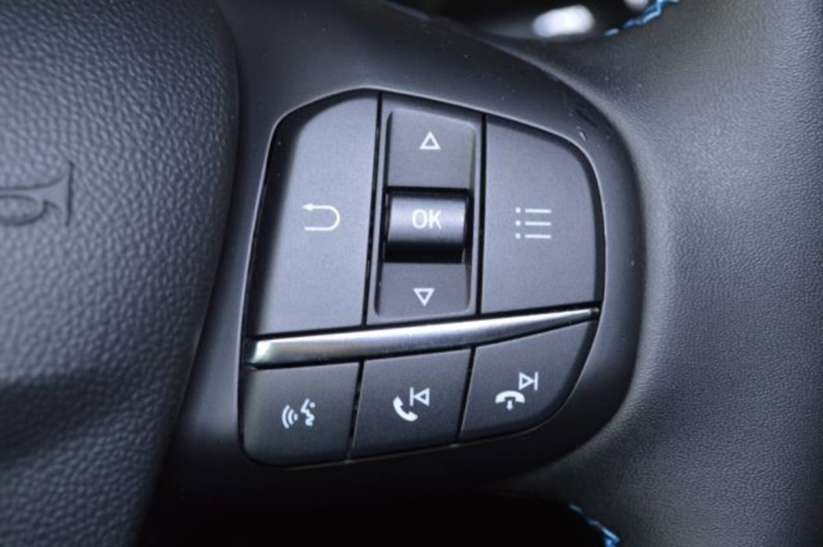 Ford Fiesta 1.0 Ecoboost Hybrid 125 CV DCT 5 porte Active (14)