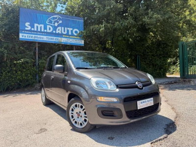 Fiat Panda 1.2 EasyPower Easy usata