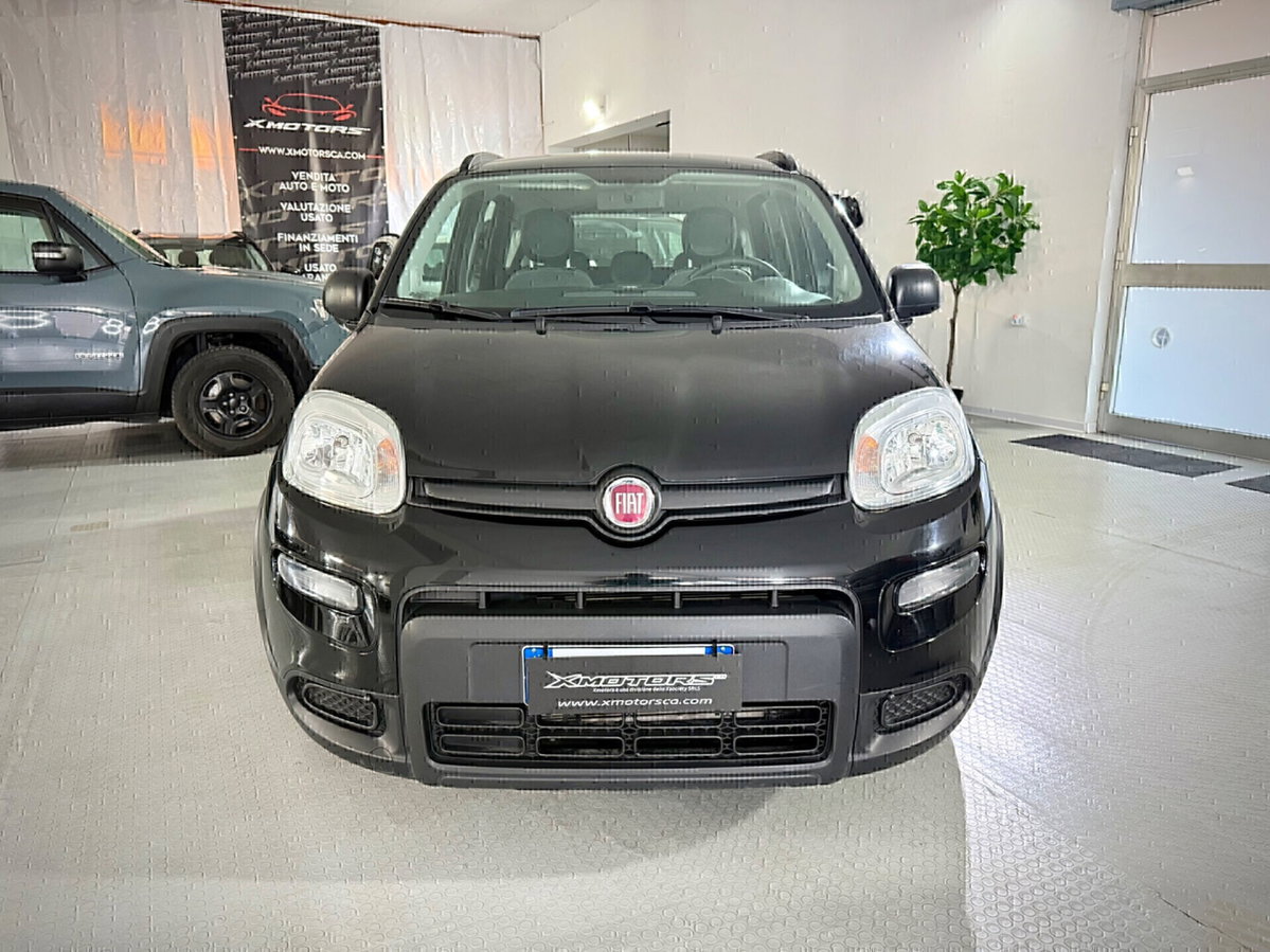 Fiat Panda 1.0 FireFly S&S Hybrid City Life (2)