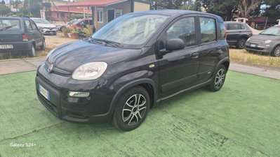 Fiat Panda 1.0 FireFly S&S Hybrid City Cross usata