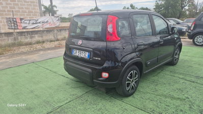 Fiat Panda 1.0 FireFly S&S Hybrid City Cross (3)