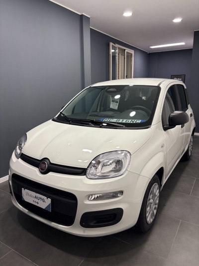 Fiat Panda 1.0 firefly hybrid Icon s&s 70cv