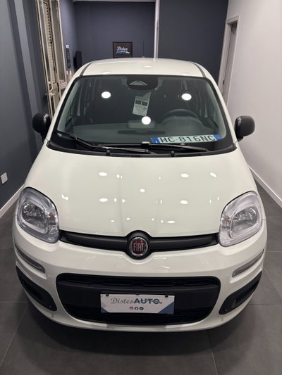 Fiat Panda 1.0 firefly hybrid Icon s&s 70cv (2)