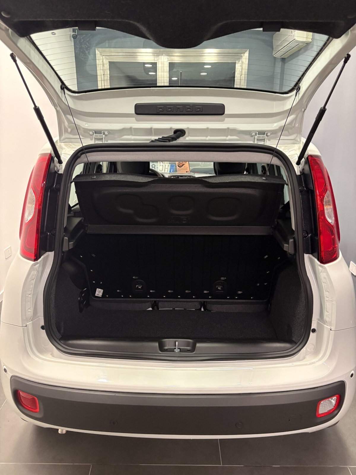 Fiat Panda 1.0 firefly hybrid Icon s&s 70cv (19)