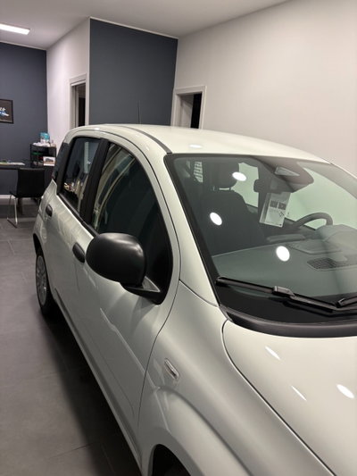 Fiat Panda 1.0 firefly hybrid Icon s&s 70cv (5)