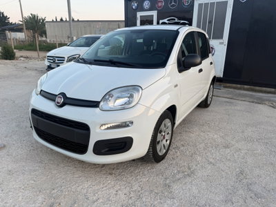 Fiat Panda 1.2 Easy usata