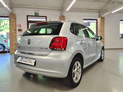 Volkswagen Polo 1.6 TDI DPF 5 porte Trendline (10)