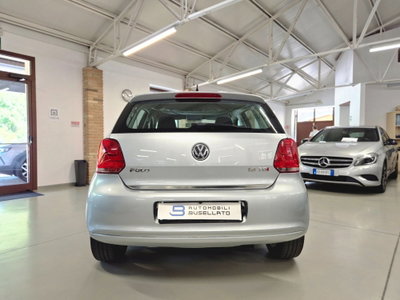 Volkswagen Polo 1.6 TDI DPF 5 porte Trendline (11)