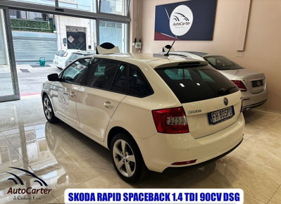 Skoda Rapid TDI CR 90 CV Ambition (6)