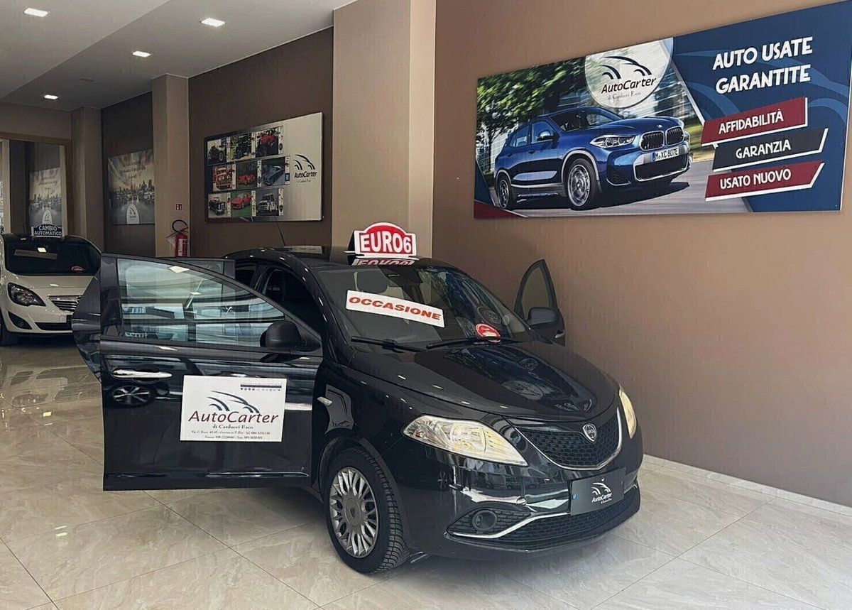 Lancia Ypsilon 1.3 MJT 16V 95 CV 5 porte S&S Silver (20)