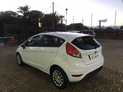 Ford Fiesta 1.4 5 porte Bz.- GPL Titanium (3)