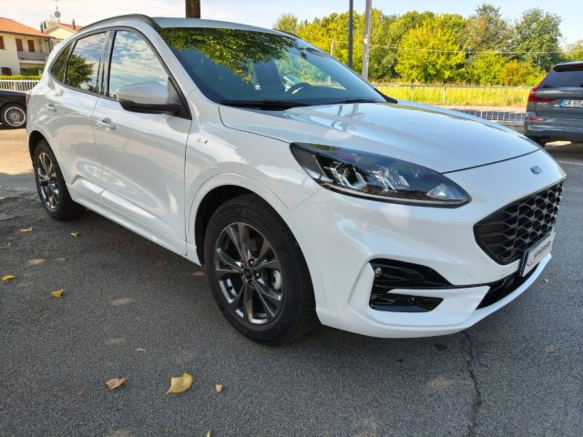 Ford Kuga 1.5 EcoBlue 120 CV aut. 2WD ST-Line X Design (4)
