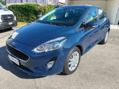 Ford Fiesta 1.1 5 porte Plus usata