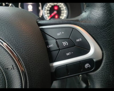 Jeep Renegade 1.6 Mjt 120 CV Longitude (14)