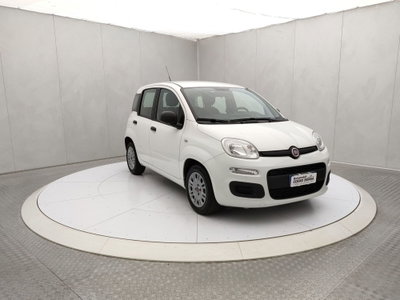 Fiat Panda Cross Cross 1.0 FireFly S&S Hybrid usata
