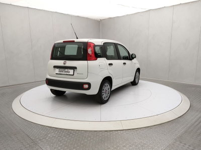 Fiat Panda Cross Cross 1.0 FireFly S&S Hybrid (4)