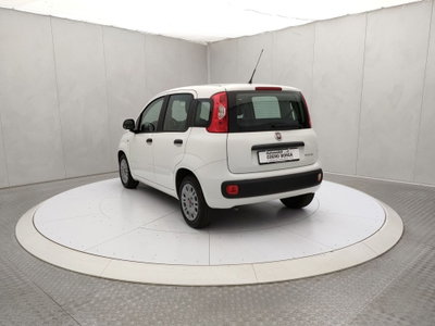 Fiat Panda Cross Cross 1.0 FireFly S&S Hybrid (6)