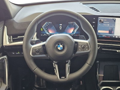 BMW X2 sdrive 18d MSport Pro auto (10)
