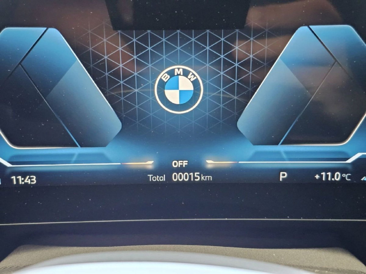 BMW X2 sdrive 18d MSport Pro auto (11)