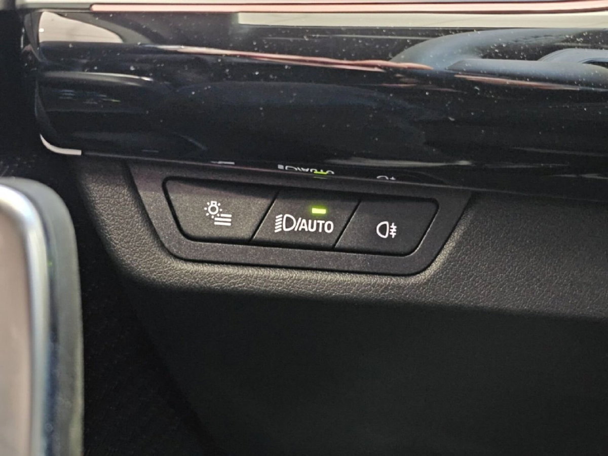 BMW X2 sdrive 18d MSport Pro auto (19)