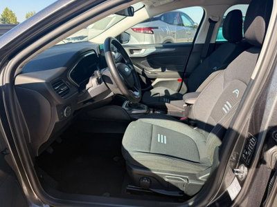 Ford Focus 1.0t ecoboost h ST-Line X 125cv (9)